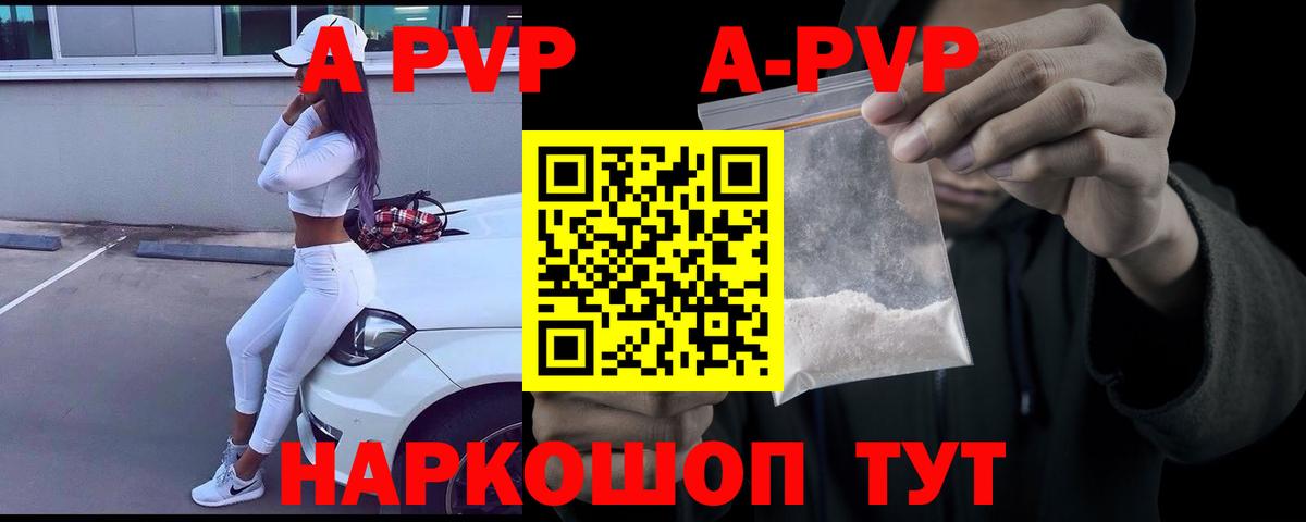Альфа ПВП крисы CK  Вход с VPN  Грозный 
